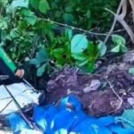Una persona fue encontrada sin vida en Texacuangos